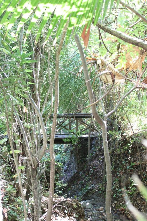 Hotel Del Balneario トロクス エクステリア 写真