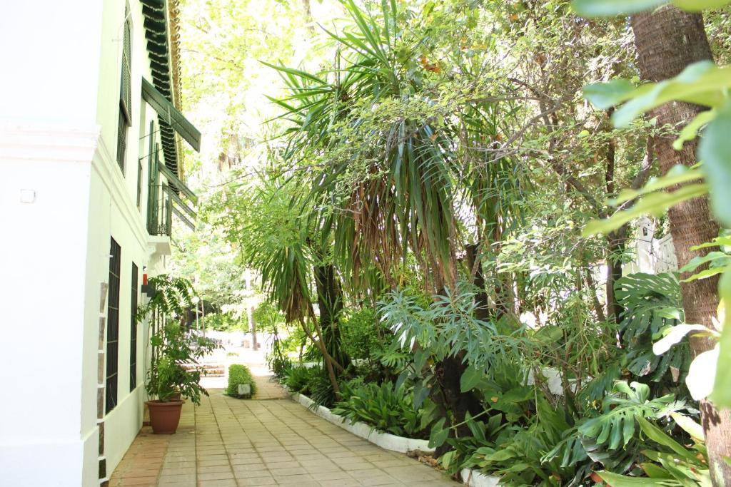 Hotel Del Balneario トロクス エクステリア 写真